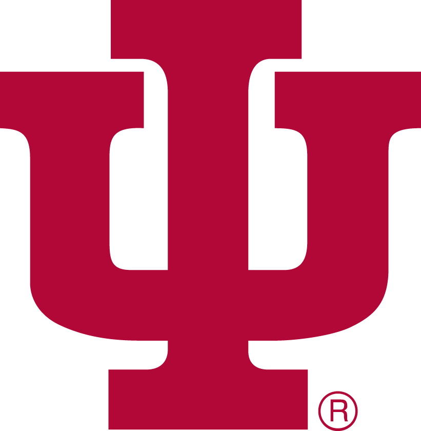 Indiana Hoosiers 1976-1981 Primary Logo iron on transfers for clothing